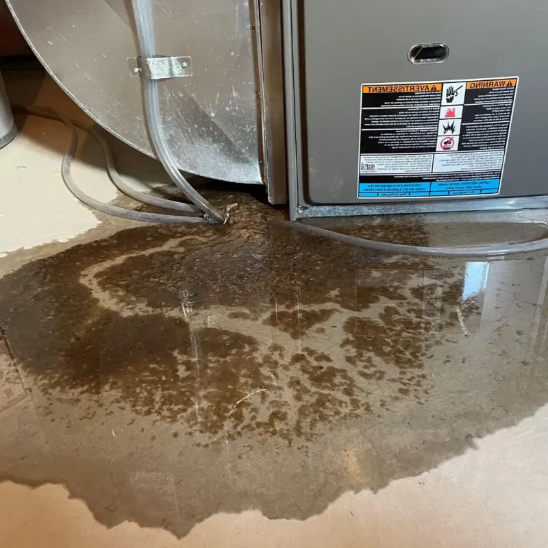 Pipe Burst and Leak Restoration in West Garfield Park, IL